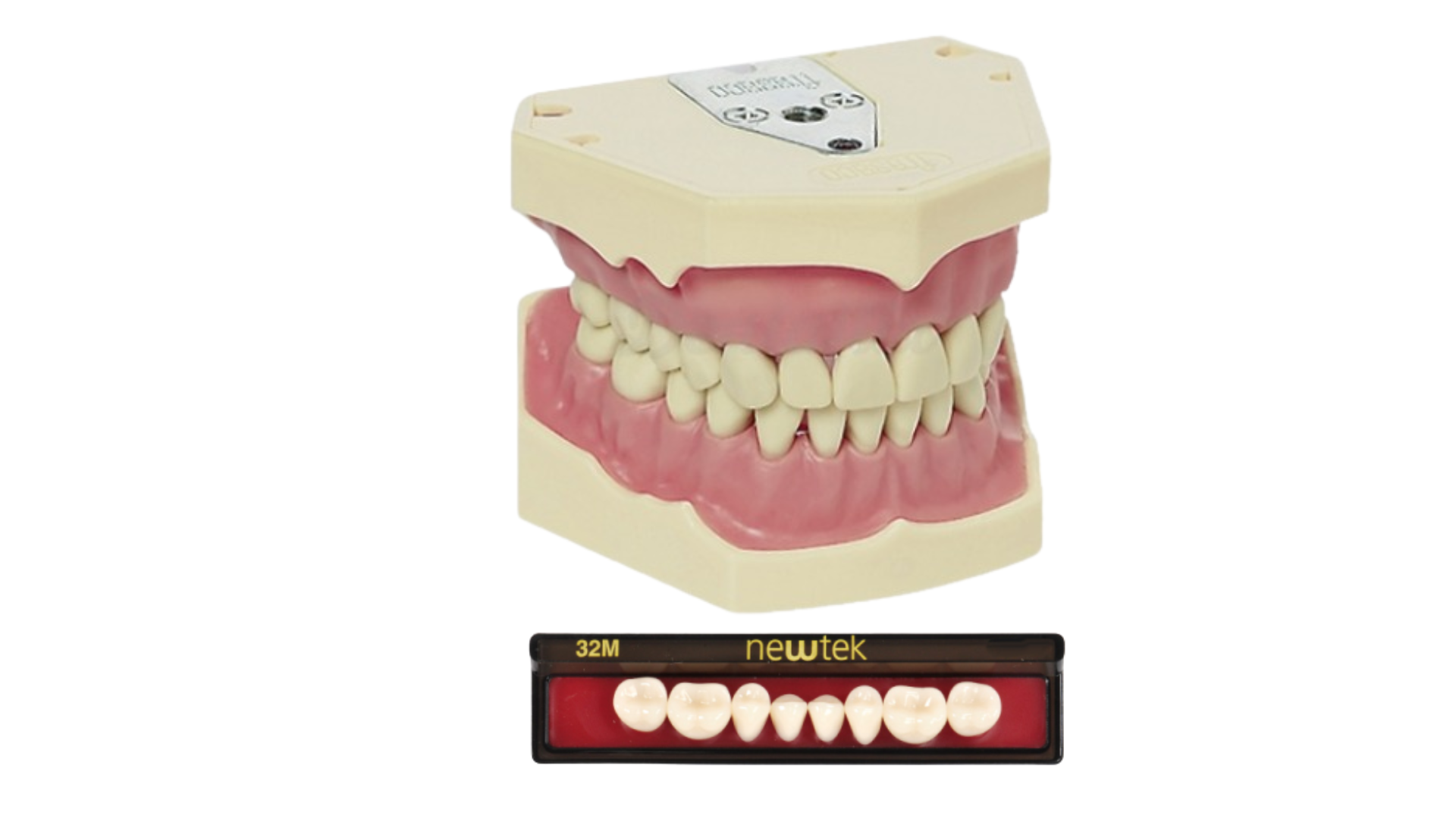 Dientes