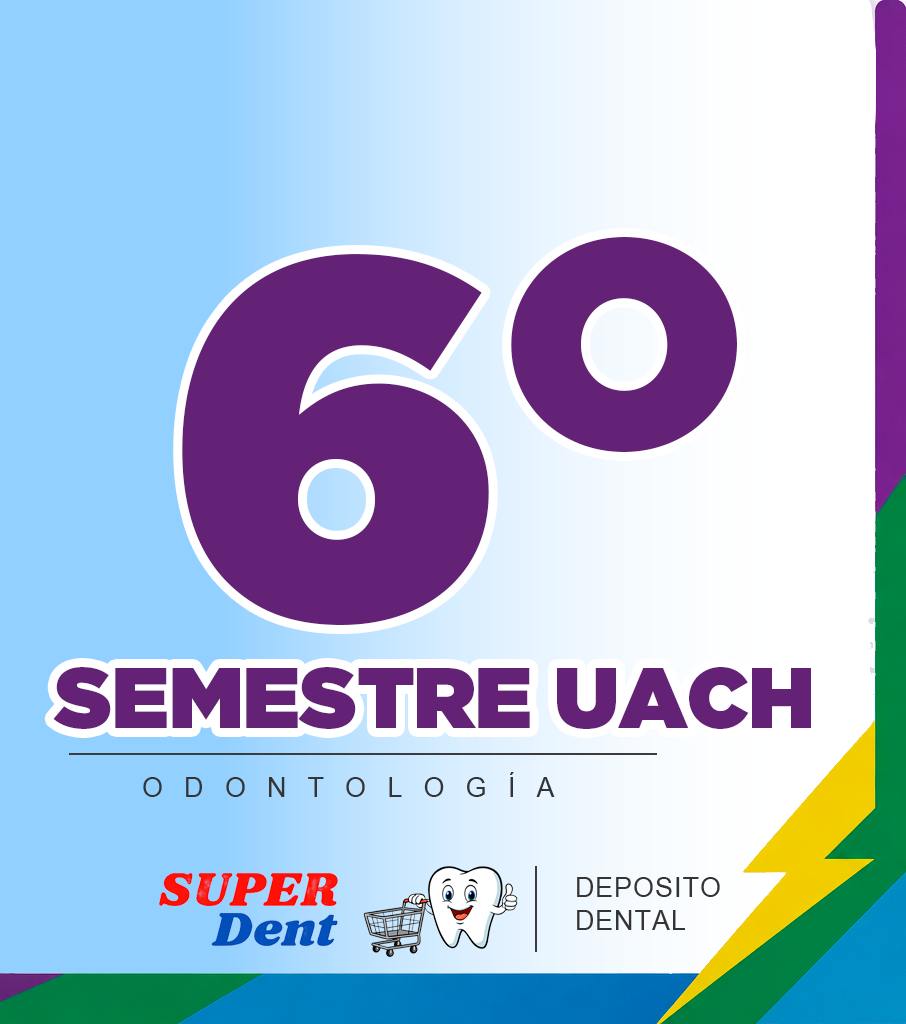 6to SEMESTRE UACH