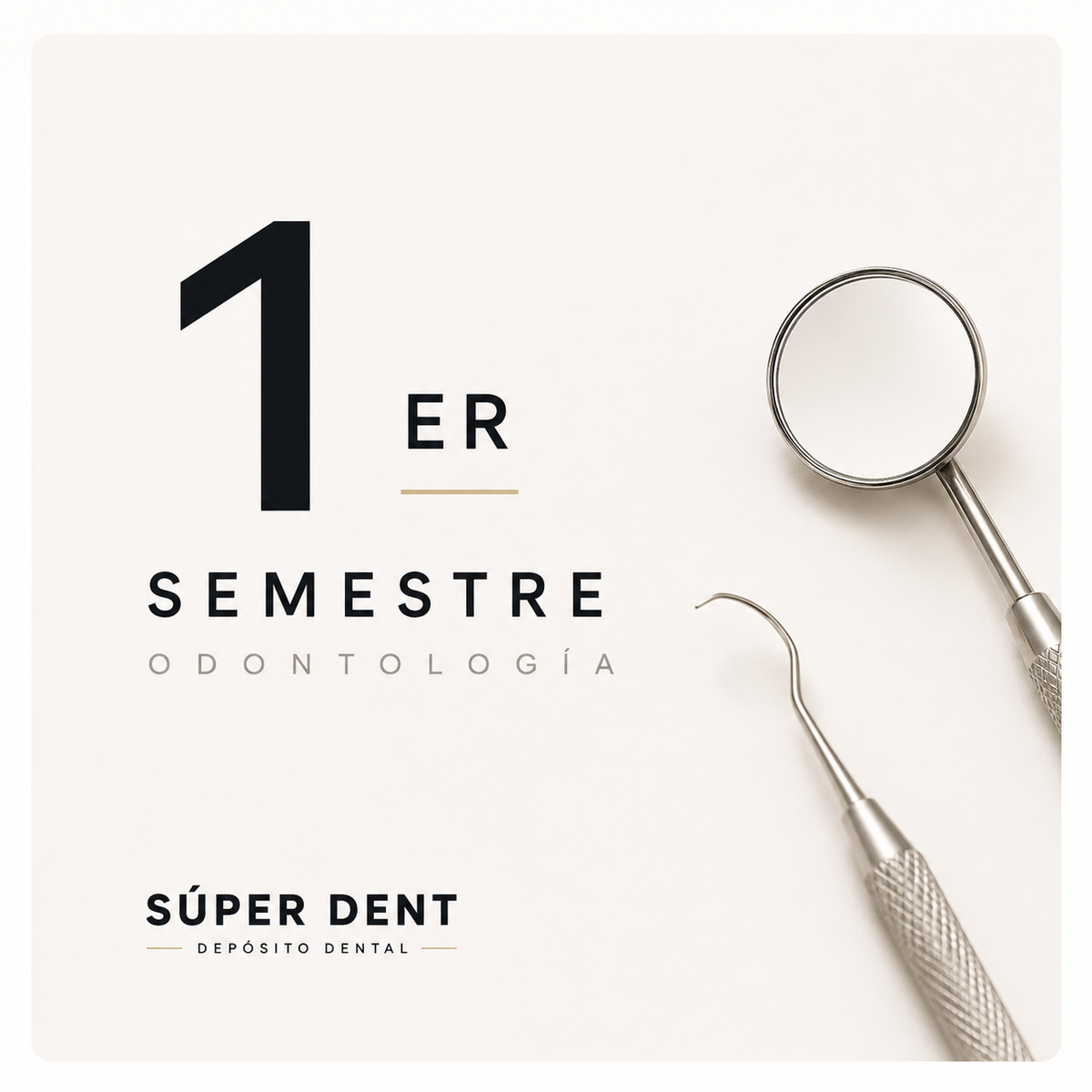 1ER SEMESTRE UACH
