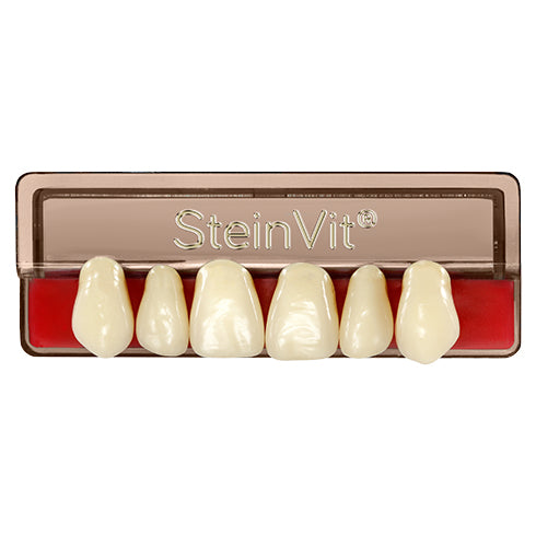 Tablilla de dientes steinvit