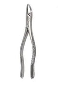FORCEP #101 ARAIN