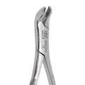 FORCEP #17 ARAIN