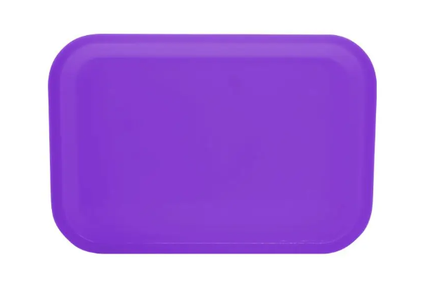 CHAROLA LISA ADULTO MORADA