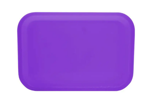 CHAROLA LISA ADULTO MORADA