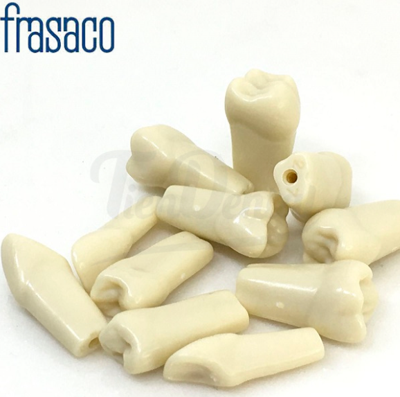 DIENTES PARA EL FRASACO PAQUETE