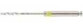 DRILL PARAPOST AMARILLO