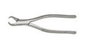 FORCEP #23 6B