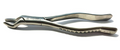FORCEP #53R 6B
