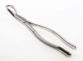 FORCEP #88R ARAIN