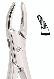 FORCEP #150 6B