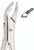 FORCEP #151 6B
