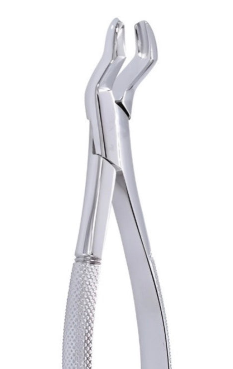 Forcep 53R treffen
