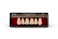 TABLILLAS DE DIENTES NEWTEK