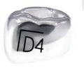 DLL4 Corona acero cromo Denteam