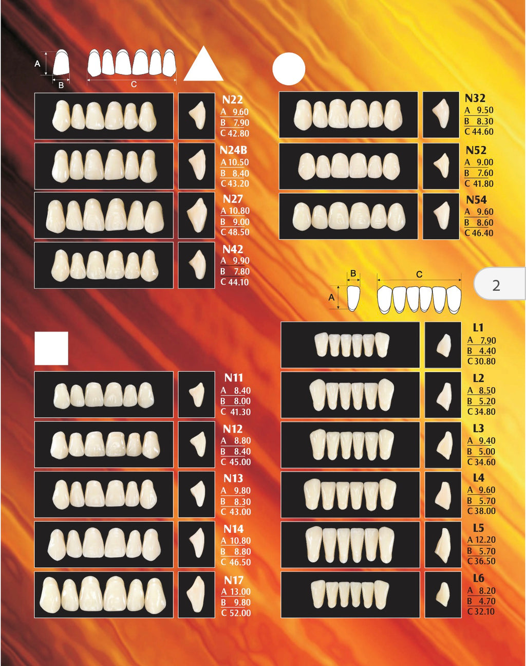 Tablilla de dientes steinvit
