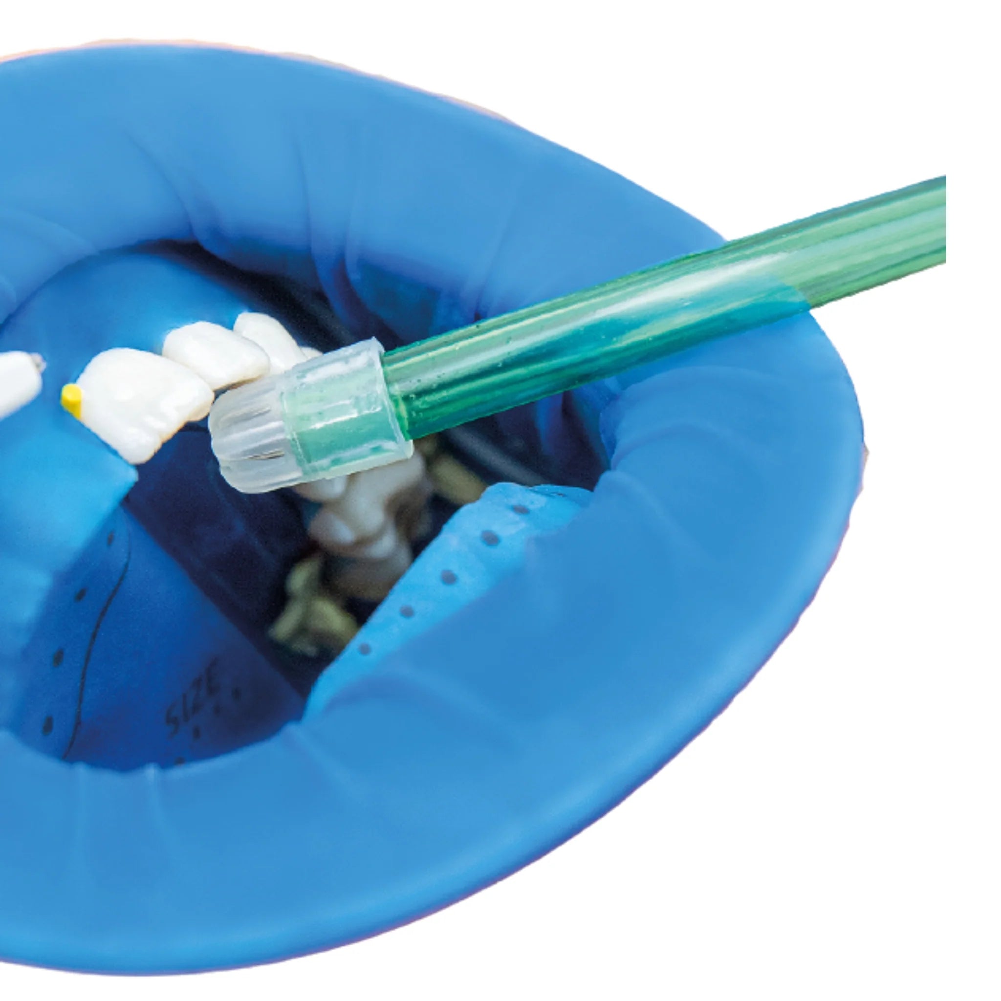 Optradam regular
