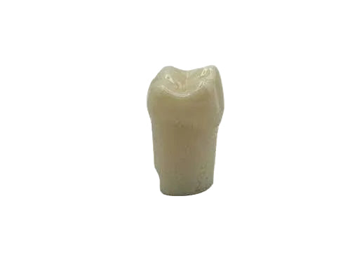 Dientes FRASACO OD27