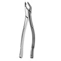 FORCEP #151 TREFFEN