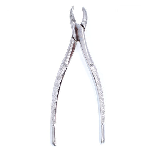 FORCEP #101 TREFFEN